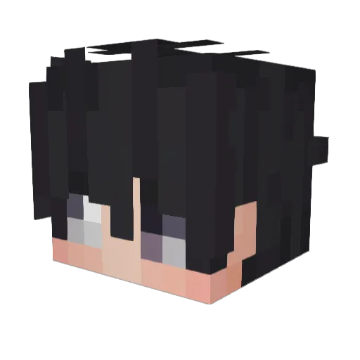 Nxlvi Minecraft avatar head, 3D render