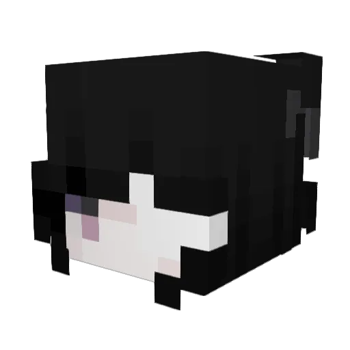 Nxncy Minecraft avatar head, 3D render