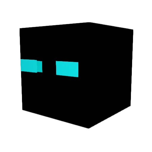 Nxon112 Minecraft avatar head, 3D render