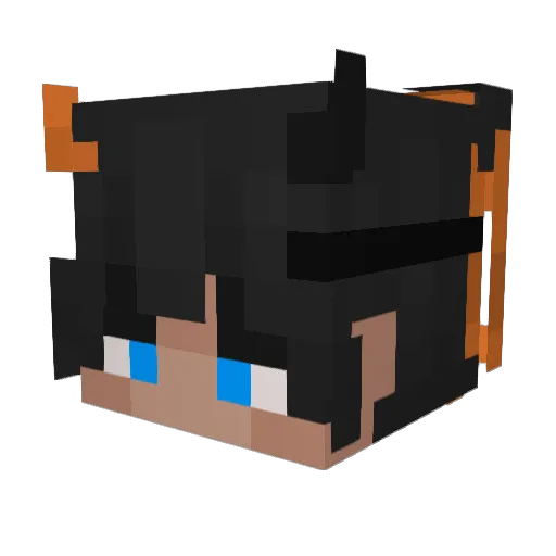 NxsAlx321 Minecraft avatar head, 3D render