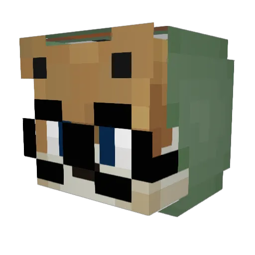 NxtTiimmFNA Minecraft avatar head, 3D render