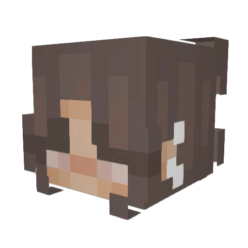 Nxtflix Minecraft avatar head, 3D render