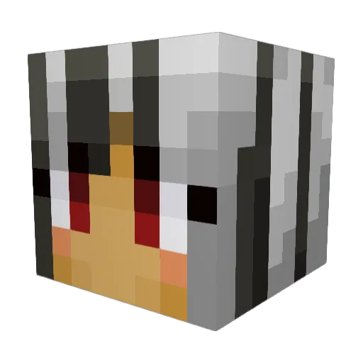 Nxtxliyx Minecraft avatar head, 3D render