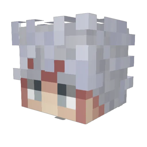 Nxusss Minecraft avatar head, 3D render