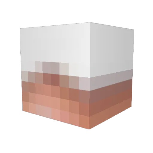 Nxyus Minecraft avatar head, 3D render