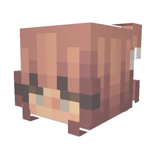 Nxzna Minecraft avatar head, 3D render