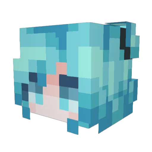 NyFy1924 Minecraft avatar head, 3D render
