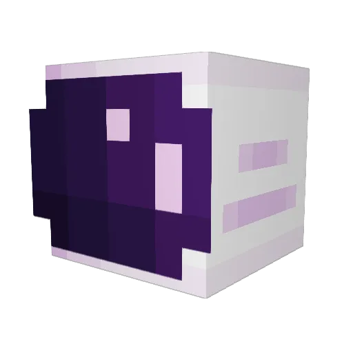 NyPi_ Minecraft avatar head, 3D render