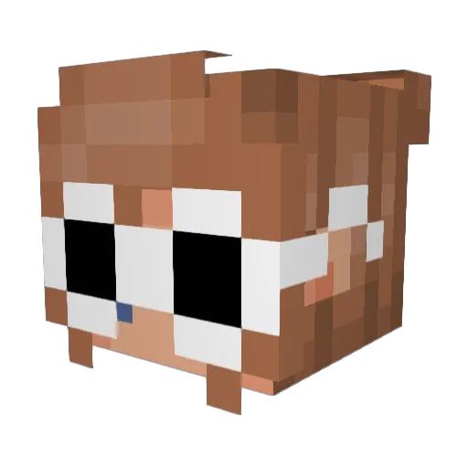 NyQ14 Minecraft avatar head, 3D render