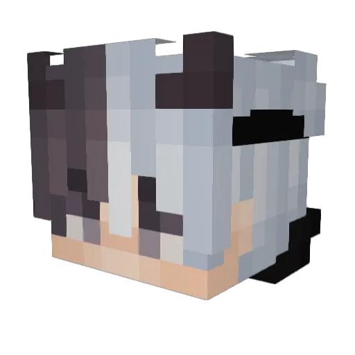 NyTozzz Minecraft avatar head, 3D render