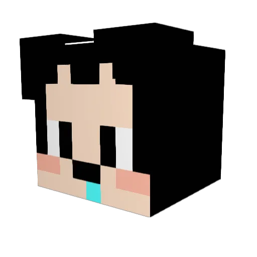 Nyaaa_1234 Minecraft avatar head, 3D render