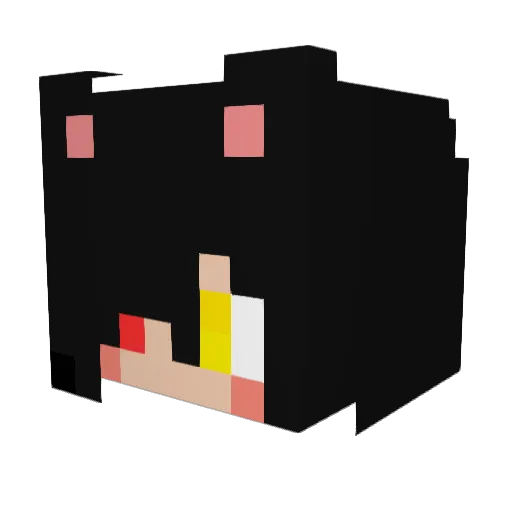 Nyaato299 Minecraft avatar head, 3D render