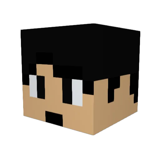 Nyag0000 Minecraft avatar head, 3D render
