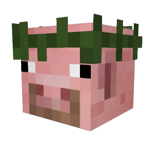 Nyakooo Minecraft avatar head, 3D render