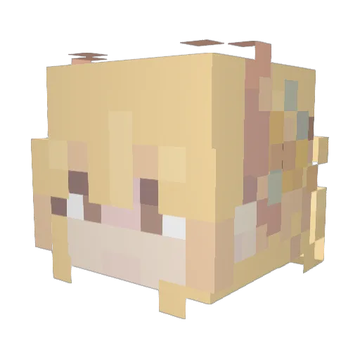 Nyala12 Minecraft avatar head, 3D render