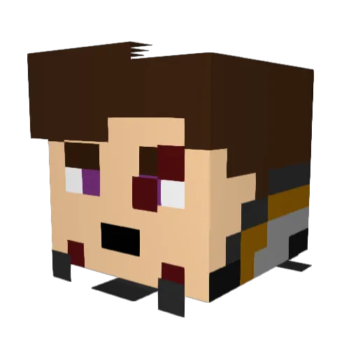 Nyan75 Minecraft avatar head, 3D render