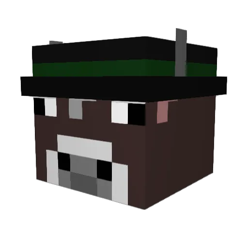 NyanAaron Minecraft avatar head, 3D render