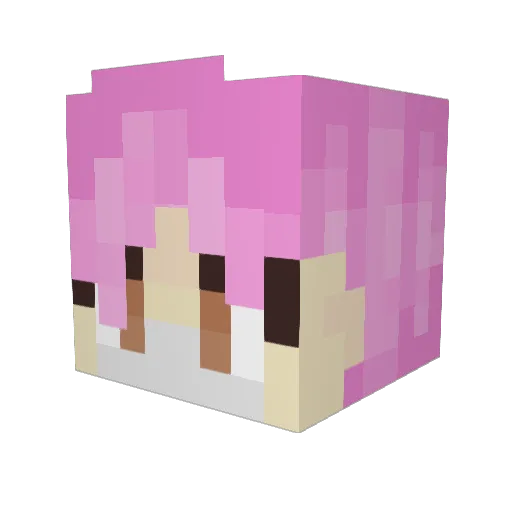 NyanCat442 Minecraft avatar head, 3D render