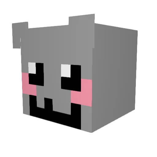 NyanCat738 Minecraft avatar head, 3D render