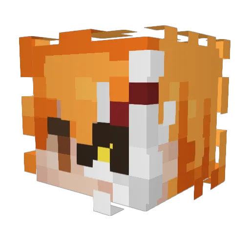 NyanCatMan03 Minecraft avatar head, 3D render