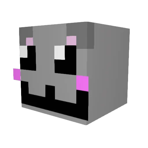 NyanCatNuts Minecraft avatar head, 3D render