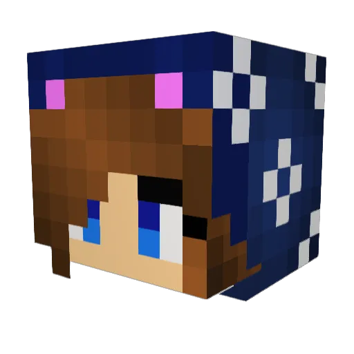 NyanKitty Minecraft avatar head, 3D render