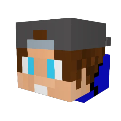 NyanPlatypus Minecraft avatar head, 3D render