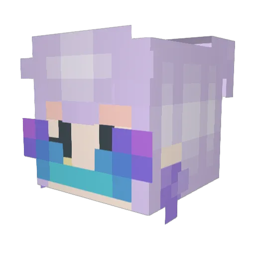 NyanStoopid Minecraft avatar head, 3D render