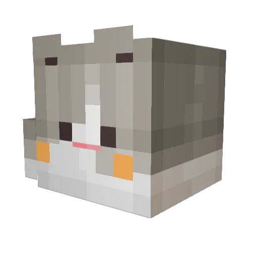 Nyan_cam Minecraft avatar head, 3D render
