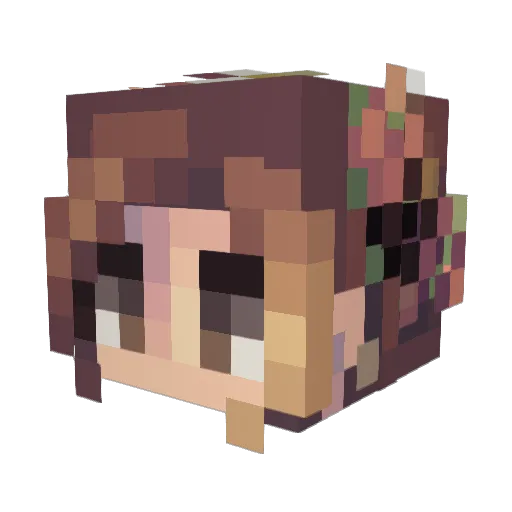 Nyancreeper010 Minecraft avatar head, 3D render