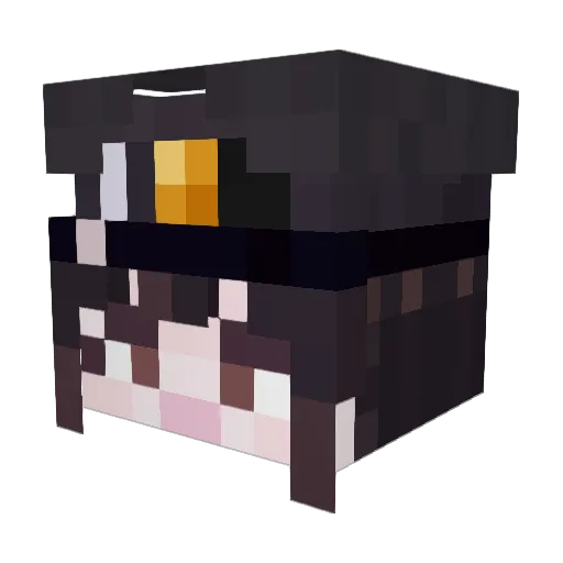 Nyank4 Minecraft avatar head, 3D render