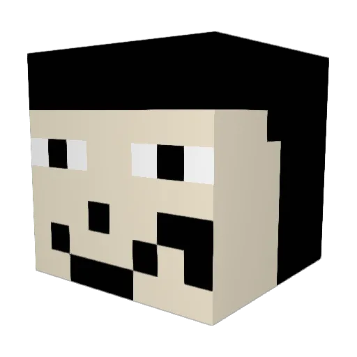 Nyankoro563 Minecraft avatar head, 3D render