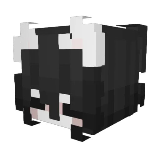 Nyann_Pasuu Minecraft avatar head, 3D render