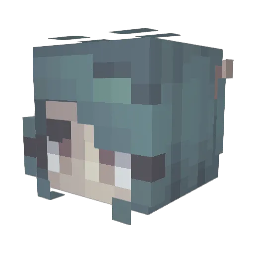 Nyanobite Minecraft avatar head, 3D render