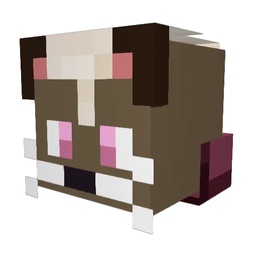 Nyanpop180 Minecraft avatar head, 3D render