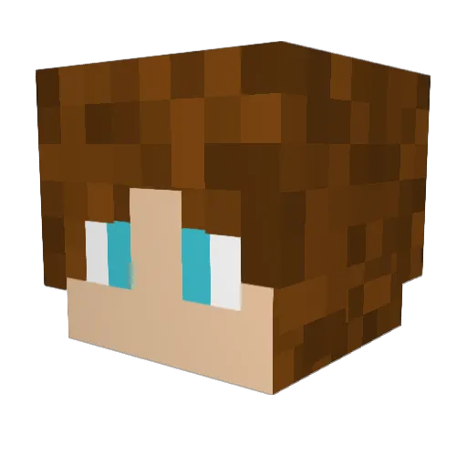 Nyantagi Minecraft avatar head, 3D render