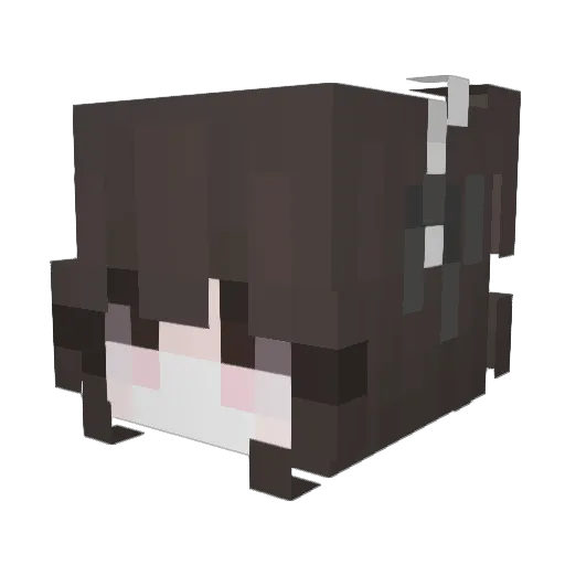 Nyarts Minecraft avatar head, 3D render