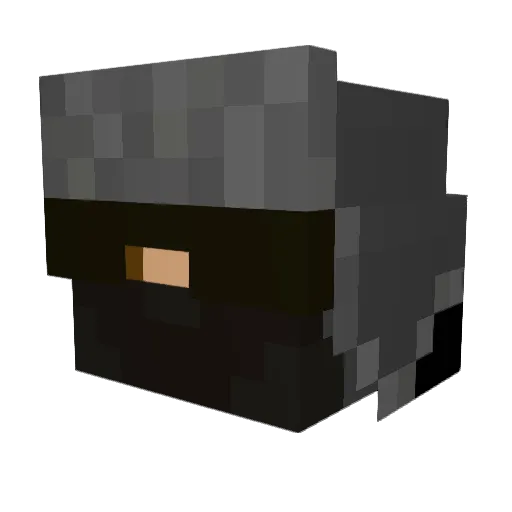 Nyasd Minecraft avatar head, 3D render