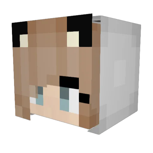 Nyash_Kosh Minecraft avatar head, 3D render