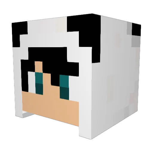 NycJello Minecraft avatar head, 3D render