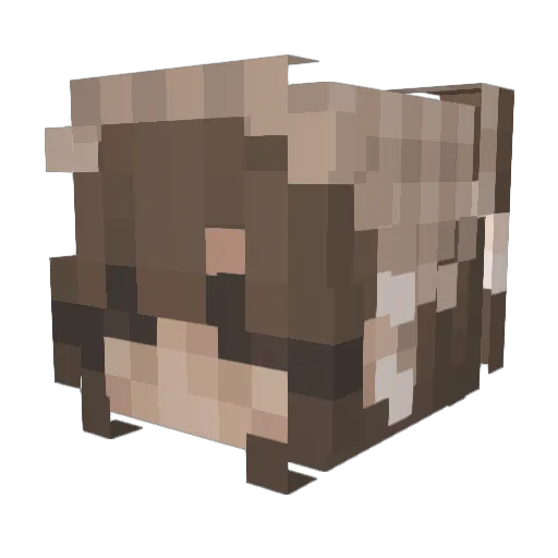 Nychteria Minecraft avatar head, 3D render