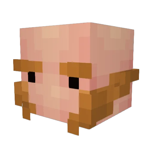 Nyckem Minecraft avatar head, 3D render