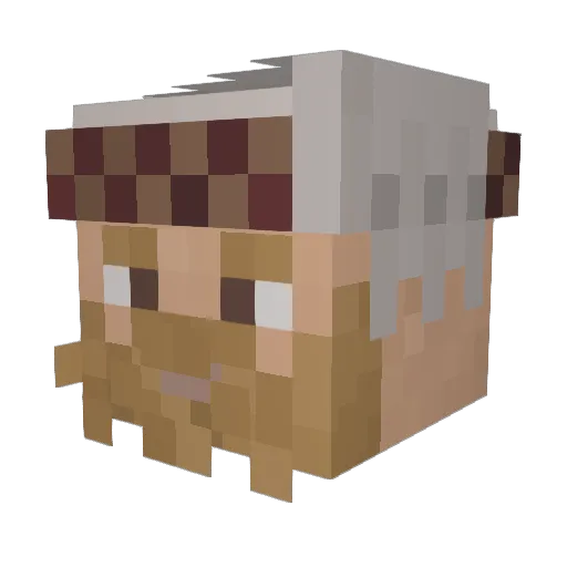 Nycolei Minecraft avatar head, 3D render