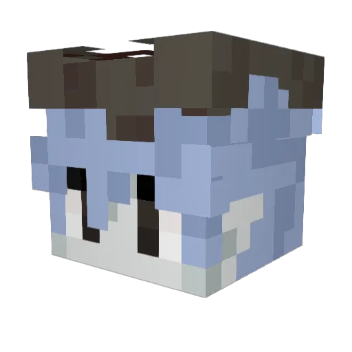 Nycoo Minecraft avatar head, 3D render