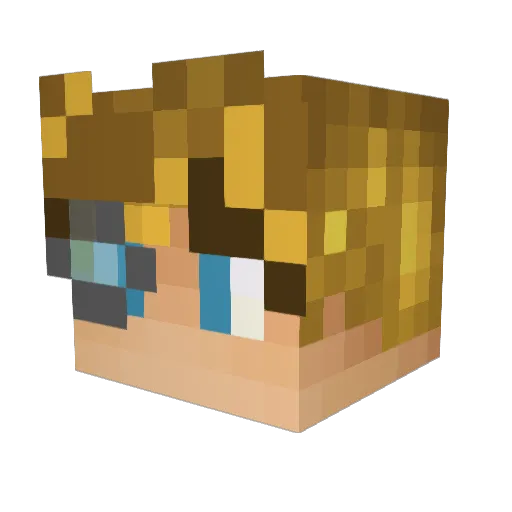 Nycray Minecraft avatar head, 3D render