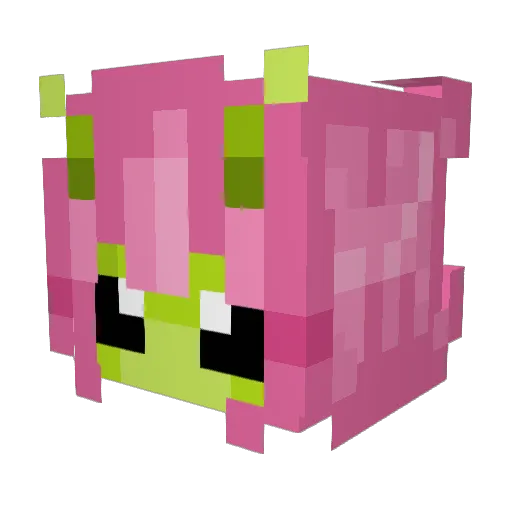 Nyct0ph Minecraft avatar head, 3D render