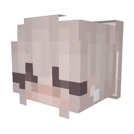 Nydamyx Minecraft avatar head, 3D render