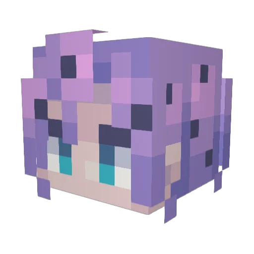 Nydrid Minecraft avatar head, 3D render