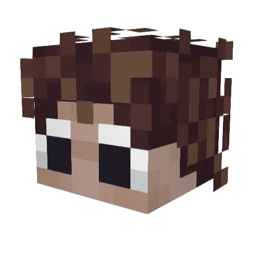 Nydt Minecraft avatar head, 3D render