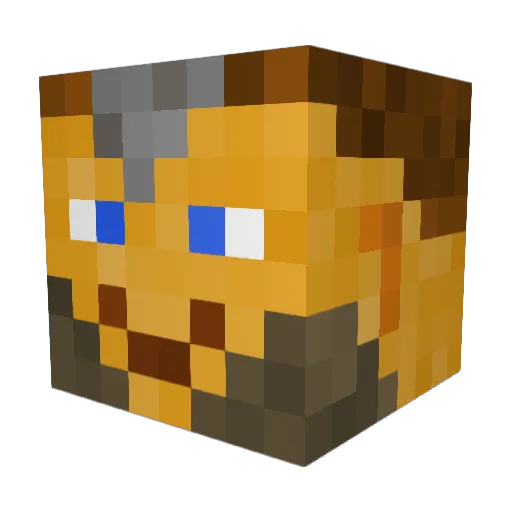 Nydzg Minecraft avatar head, 3D render